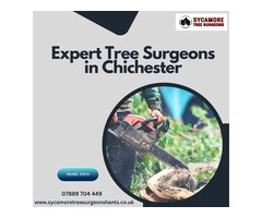 Expert Tree Surgeons in Chichester