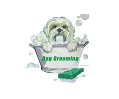 Jazz Up Your Paws - Letchworth's Trusted Dog Grooming Professionals