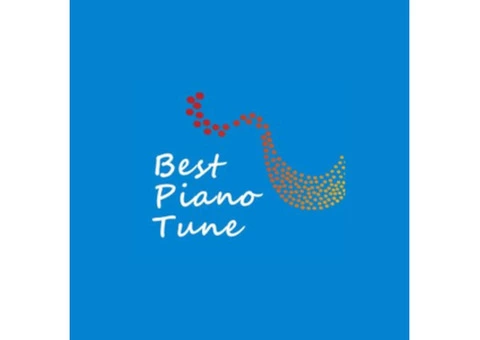 Basingstoke’s Premier Piano Tuning Service – Best Piano Tune