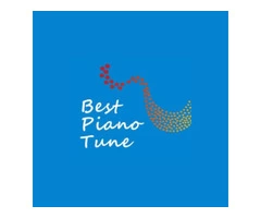 Basingstoke’s Premier Piano Tuning Service – Best Piano Tune