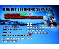 Rabbit Cleaning service in local Nottingham