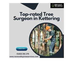 Top Rated Tree Surgeon in Kettering