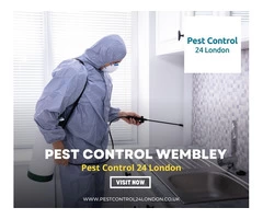 Pest control Wembley: wiping off unwanted guests from your space