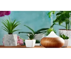 Averse shop