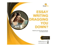 Get the professional essay writing service