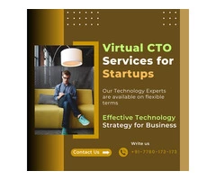 Virtual CTO Services for product management