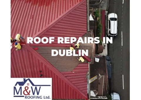 Roof Repairs in Dublin