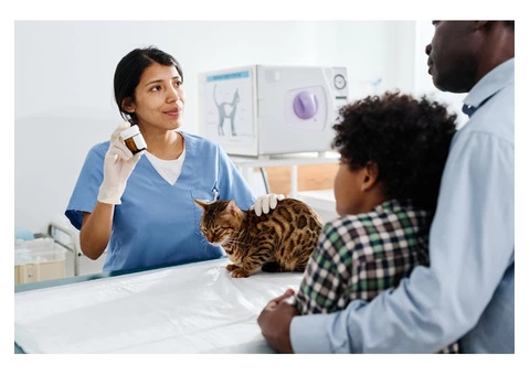 Veterinary Prescriber: An Online Veterinary Medicine Academy