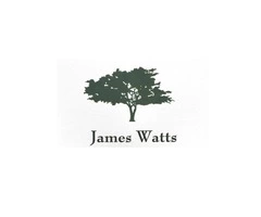 James Watts Tree and Garden Services: Expert Stump Grinding Solutions in Gloucester