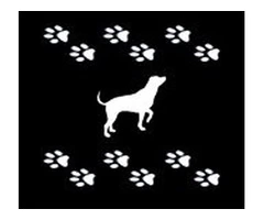 Lincoln's Choice: Top-rated Dog Boarding Kennel