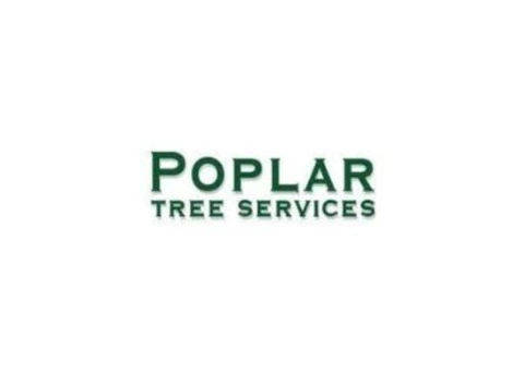 Arborist and tree surgeon in Breaston