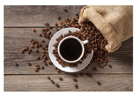 Specialty Coffee Beans | High-End Specialty Coffee in UK - 2023