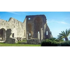 The Basil of Sant’Eustachio