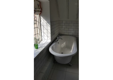 Professional cleaning - 5/6