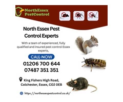 Squirrel Control Services