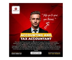 Seeking exceptional annual accountant services in Ruislio