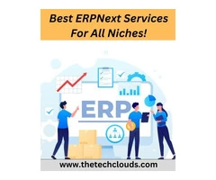 Best ERPNext Services For All Niches!