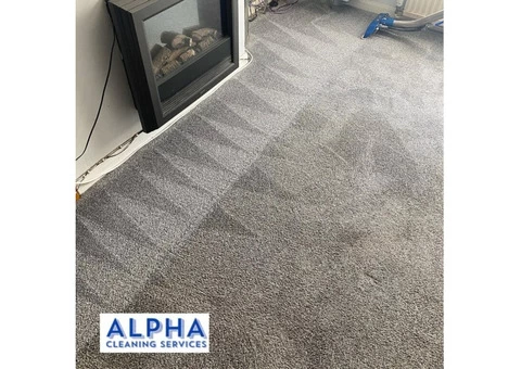 Alpha Cleaning Services - 3/4
