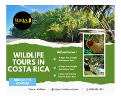 Explore Coastal Wonders with Sukia Travel - Drake Bay Tours