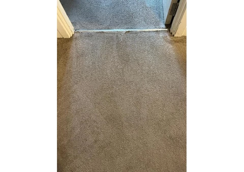 Reliable Carpet Cleaning for Healthy Living
