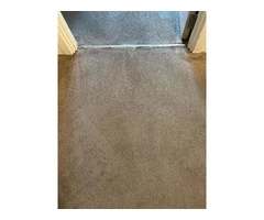 Reliable Carpet Cleaning for Healthy Living