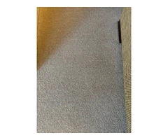 The Miracle of a deep clean for your carpets