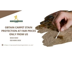Obtain Carpet Stain Protection at Fair Prices Only From Us