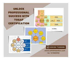 Unlock Professional Success with TOGAF Certification
