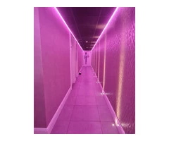 Lyttle Smart Homes LTD