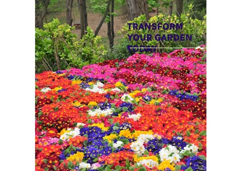 Norton's Gardens - Transforming Surrey Landscapes with Expert Garden Maintenance!