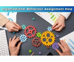 Mastering Organisational Behaviour: Expert Assistance from UK Experts