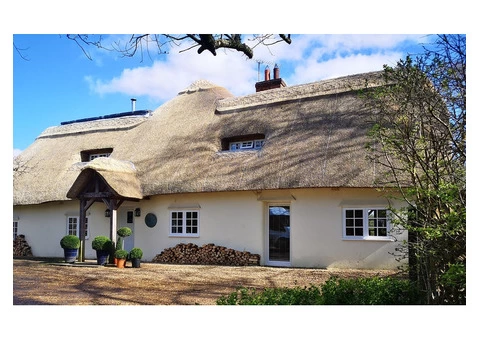 Thatch Repairs