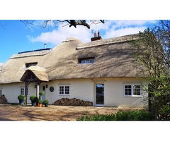 Thatch Repairs