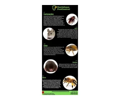 Pest Control Colchester