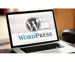 Get an all-inclusive solution | WordPress Development Company