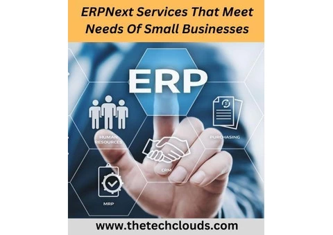 ERPNext Services That Meet Needs Of  Small Businesses