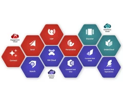 Sitecore Expert Services - Elevate Your Website with Altudo