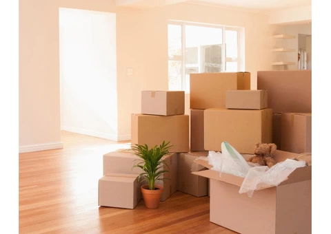 Swift and Secure House Removals in Torquay - Croftsworld Removals Ensures a Smooth Transition! - 3/4