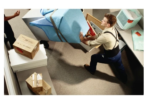 Swift and Secure House Removals in Torquay - Croftsworld Removals Ensures a Smooth Transition! - 4/4