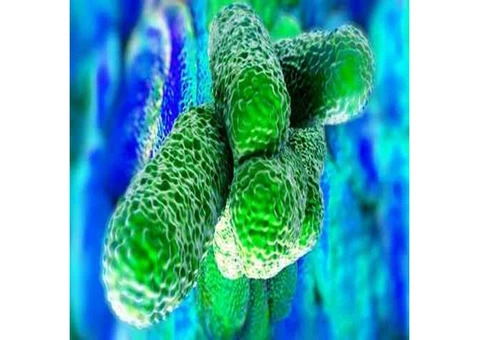 Legionella Risk Assessment | CAD Services
