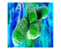 Legionella Risk Assessment | CAD Services