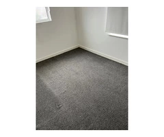 Central London's Premier Carpet Revival Specialists!
