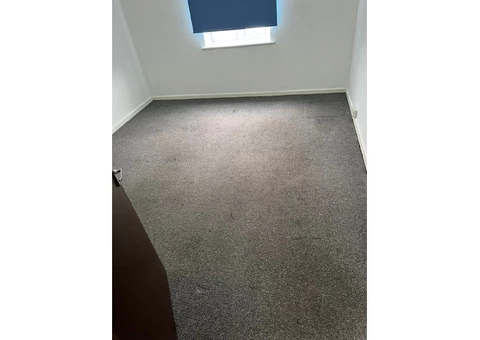 North east London's Premier Carpet Cleaners