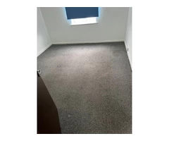 North east London's Premier Carpet Cleaners