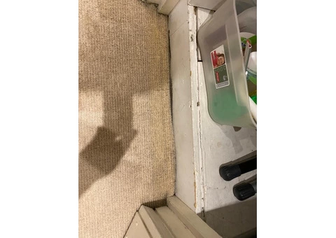 Revitalising Carpets in Wealdstone