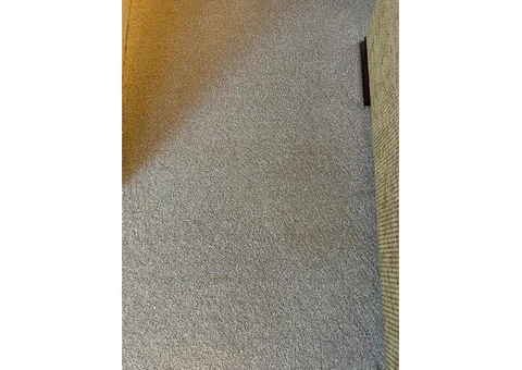 Ruislip's Finest Carpet Cleaning Experts