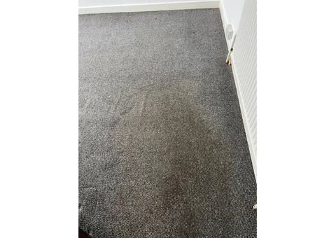 Your Trusted Partner for Clean Carpets in Pinner HA5!
