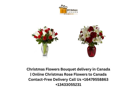 Christmas Flowers Bouquet delivery in Canada | Online Christmas Rose Flowers to Canada - 2/4