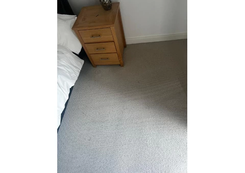 Superior Carpet Cleaning in Central London