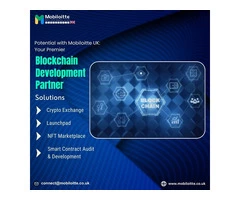 Potential with Mobiloitte UK: Your Premier Blockchain Development